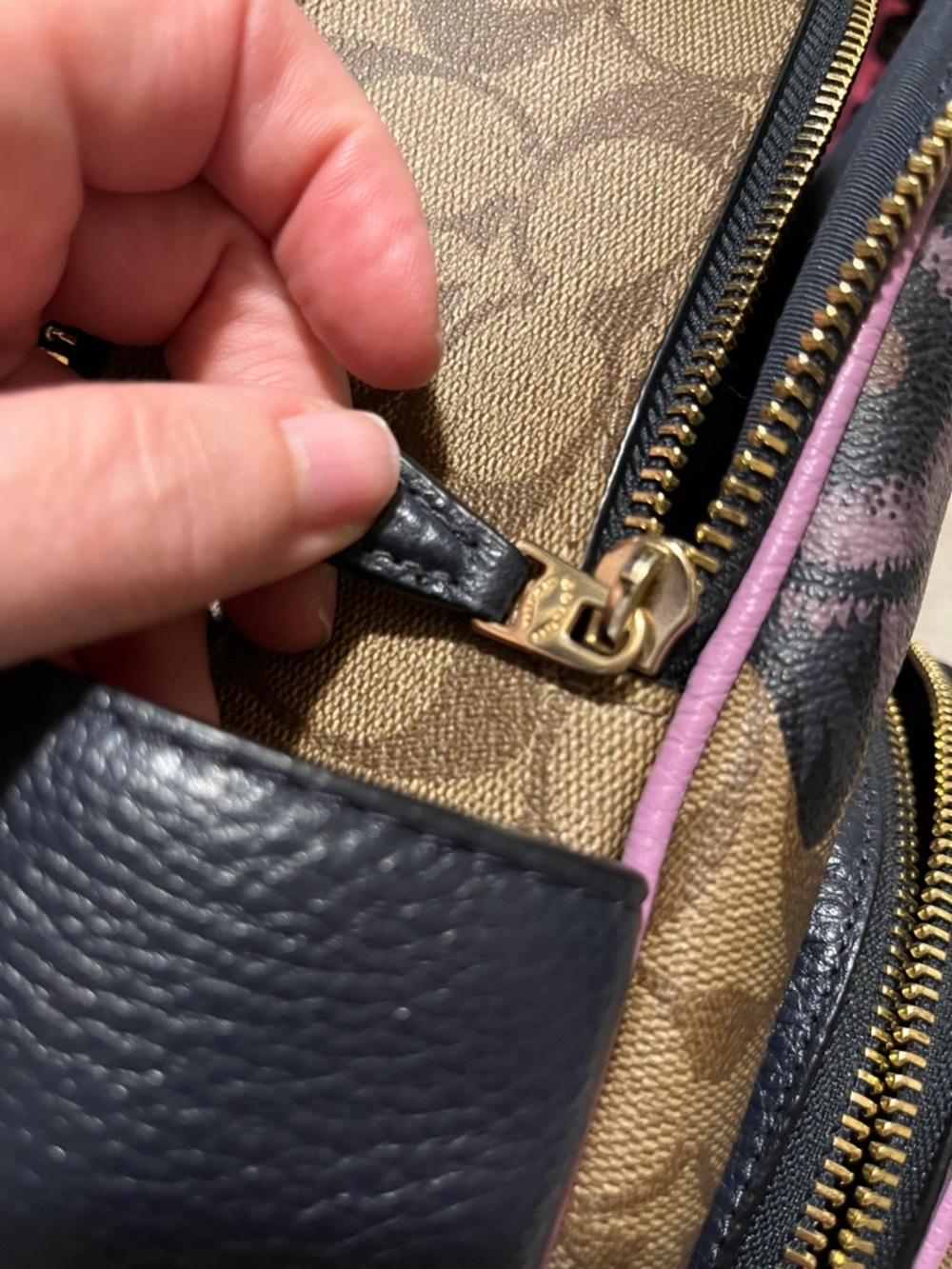 Coach Floral Signature Court Backpack - Brown/Purple/Navy - Picture 13 of 14